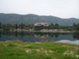 Ston