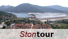 Group Ston