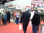 Brussels holiday fair / Brussels Travel Top