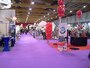 Brussels Zenith Senior travel fair